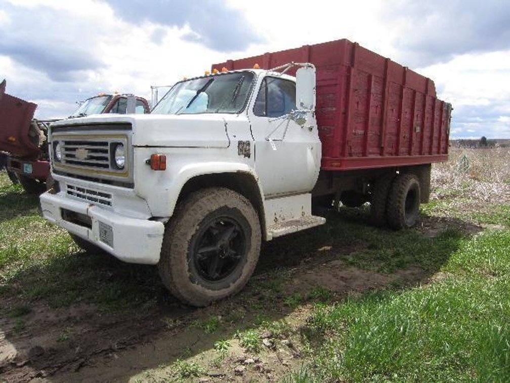 1974 CHEVY SINGLE AXLE GRAIN TRUCK, VIN# CCE664V115627