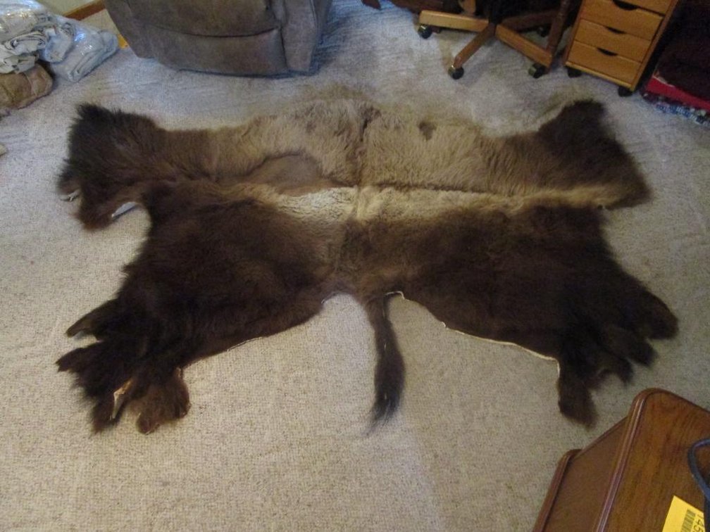 American Bison Rear Cape