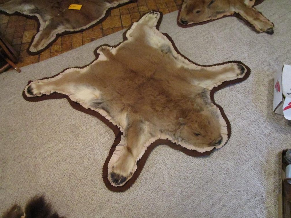 American Bison Calf Wall Hangings