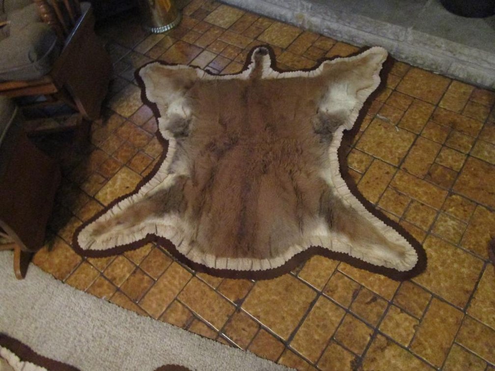 American Bison Calf Wall Hangings