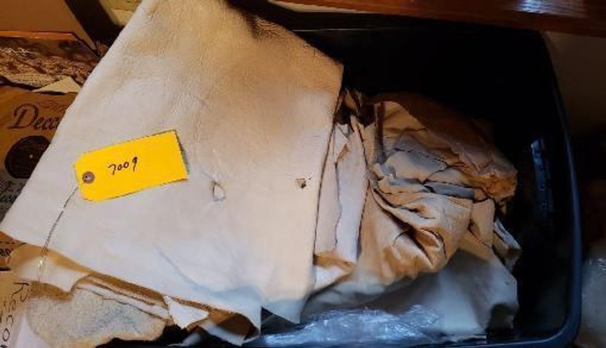 Tanned Bison Leather