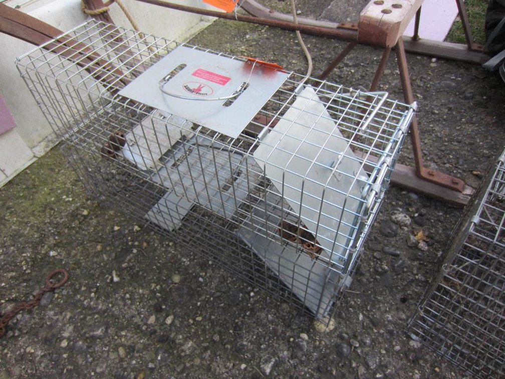 (2) Live Animal Traps