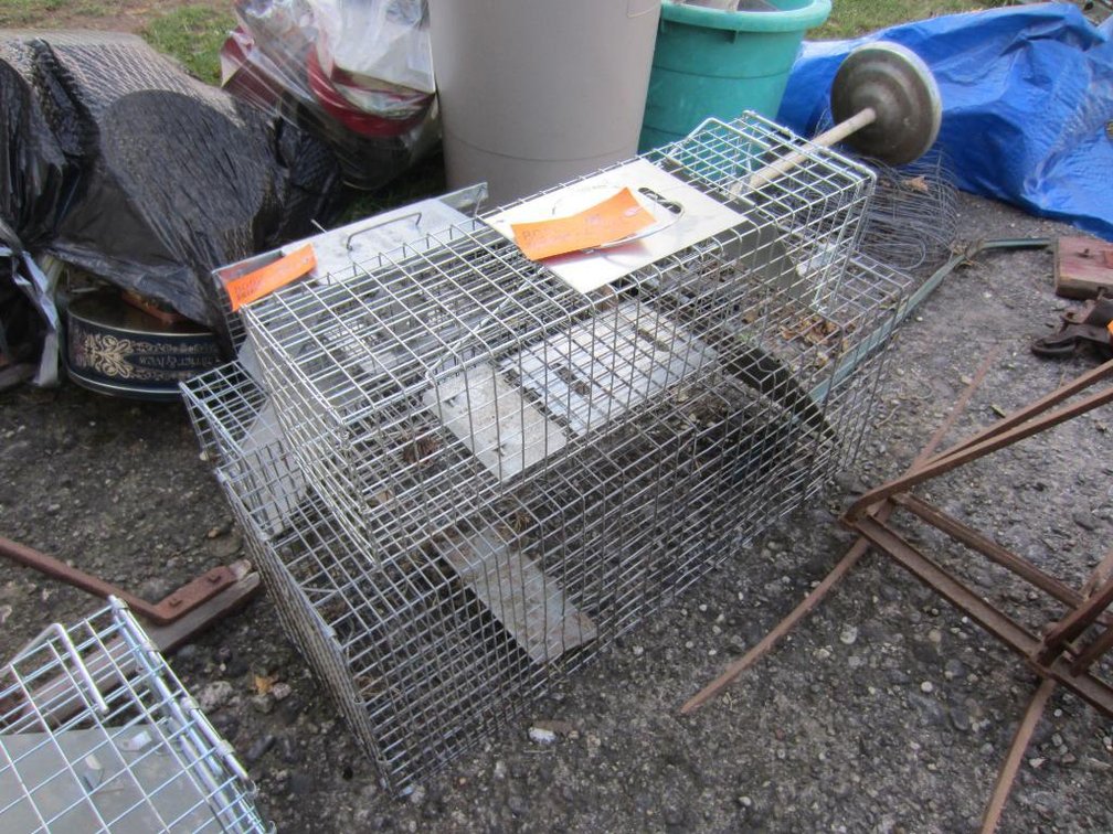 (2) Live Animal Traps