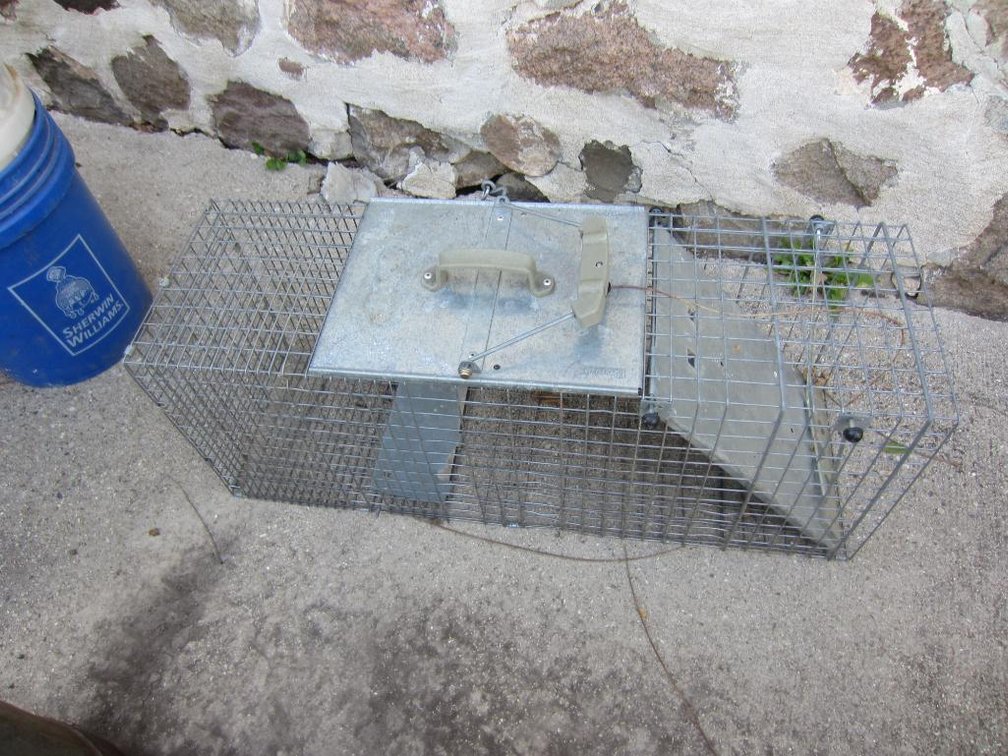 Live Animal Trap