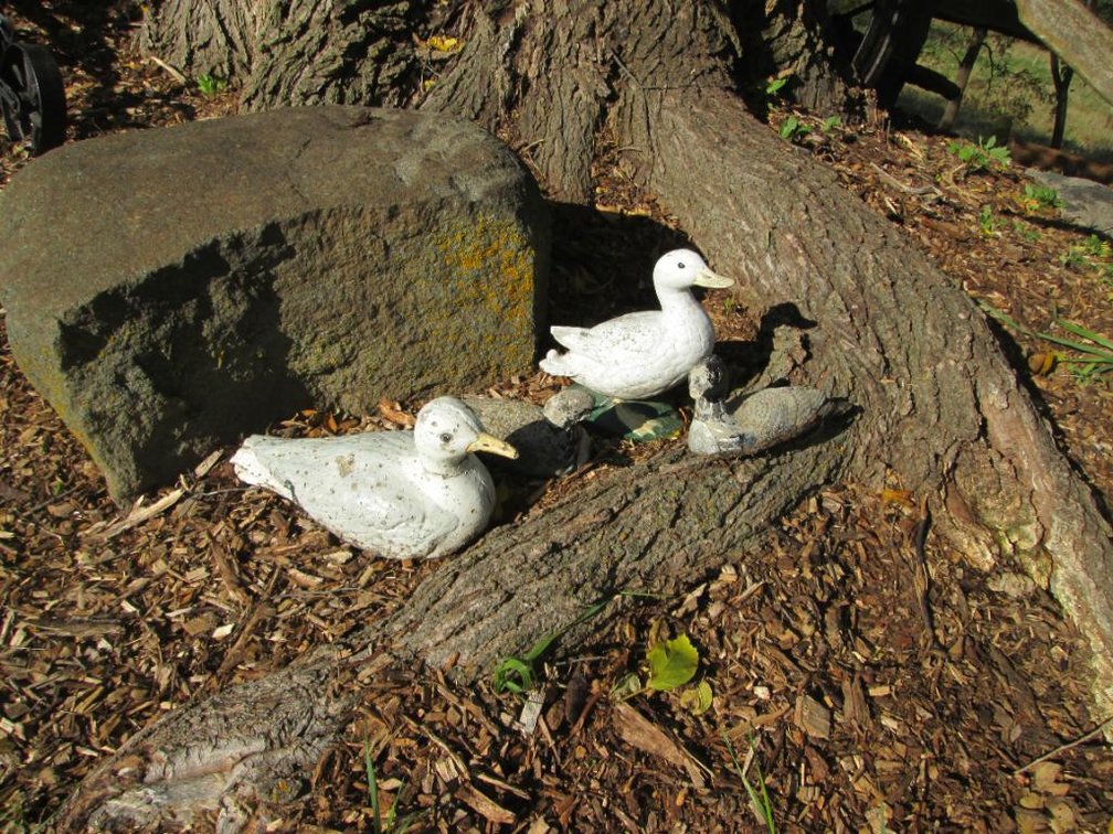 (4) Concrete Bird Themed Lawn Art