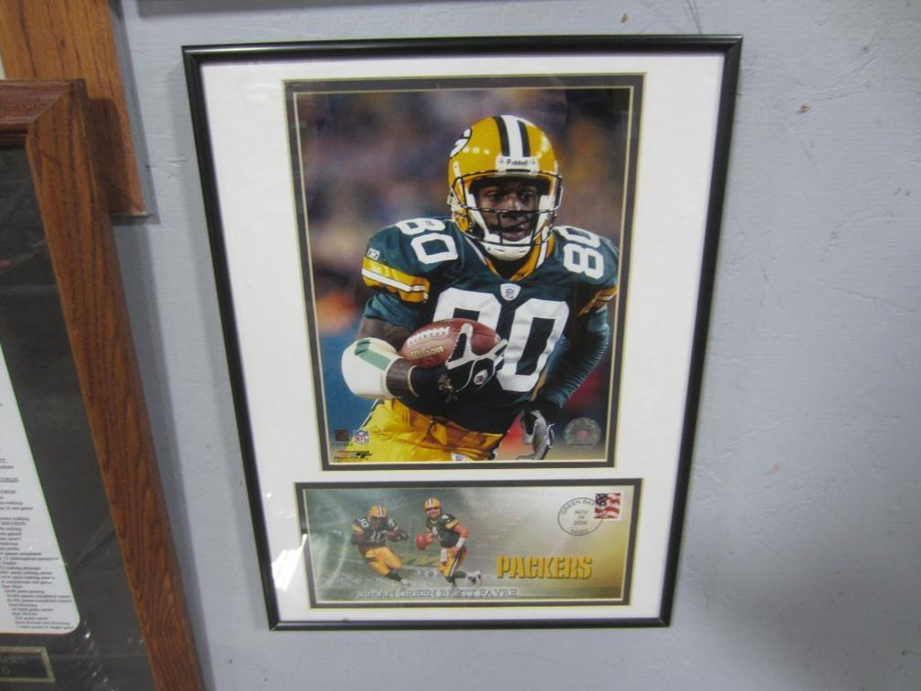Donald Driver Green Bay Packer Picture (A)