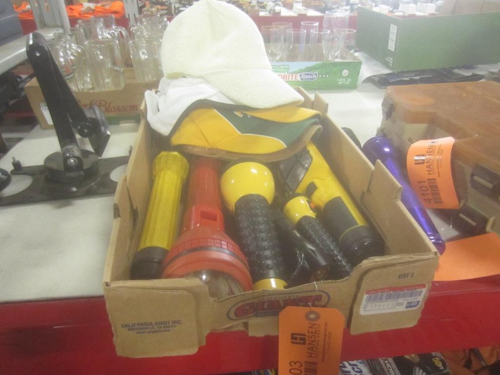 (6) Flashlights (T13)