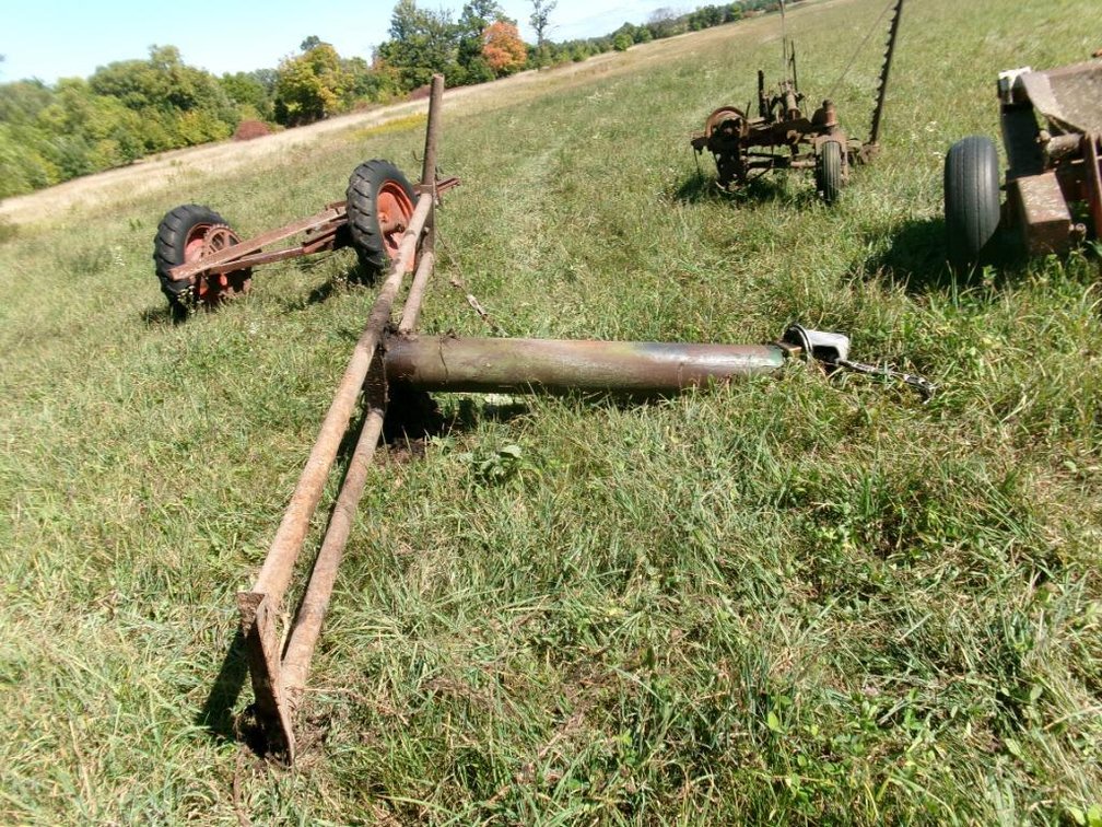 Cow Scratching Post