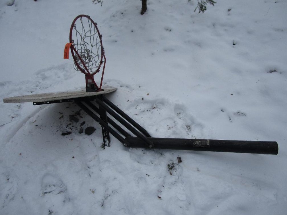 Lifetime Slam-Dunk Basketball Hoop with Backboard and Breakaway Rim with Pole