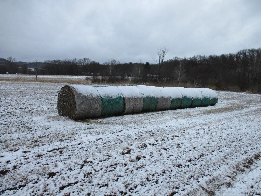 (35) Corn Stalk Bales
