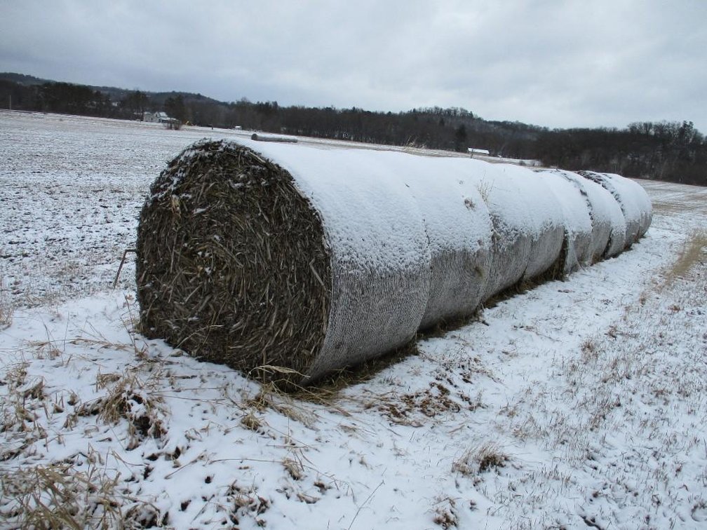(35) Corn Stalk Bales