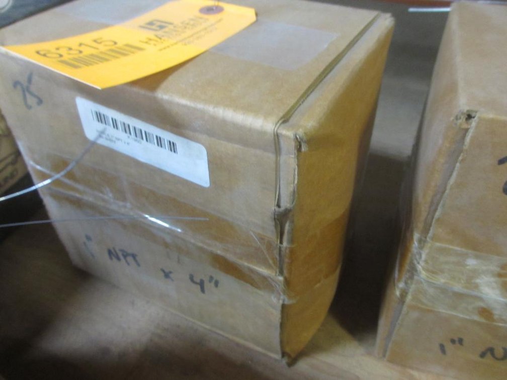 Box of (25) Pipe Nipples (PR1)