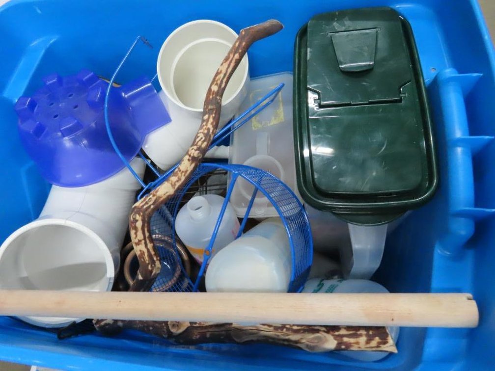 Guinea Pig Equipment