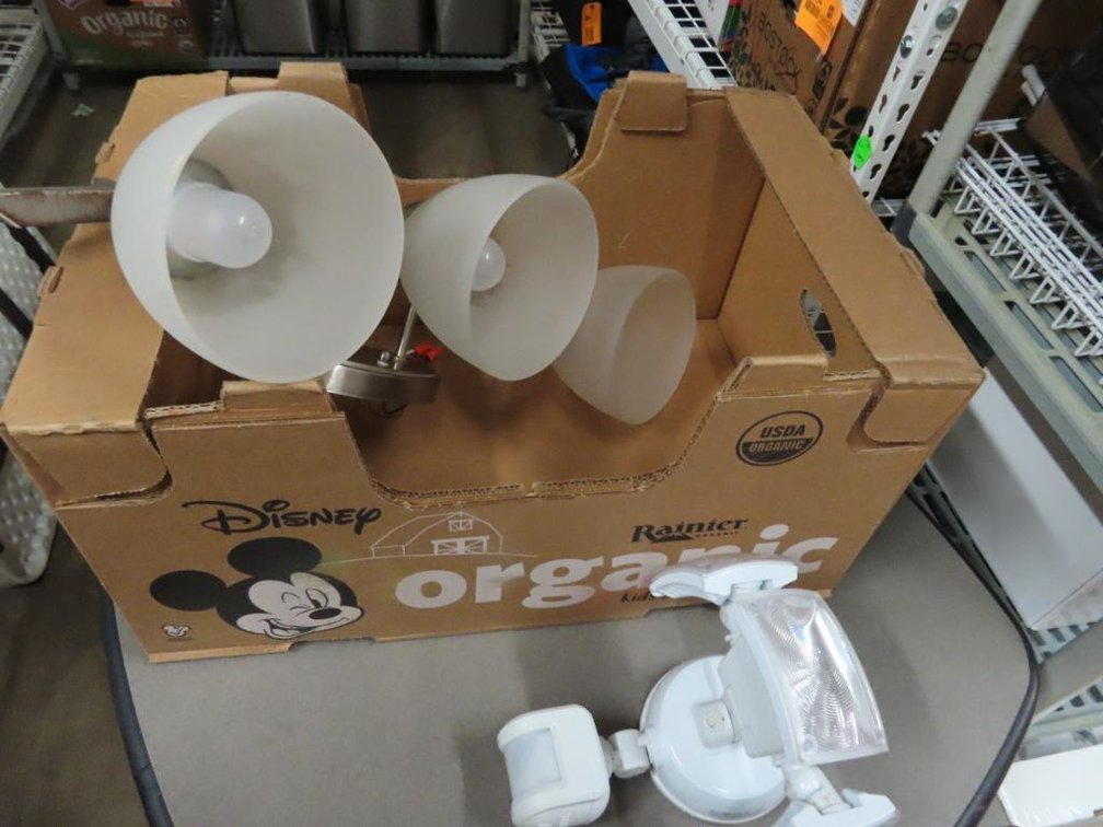 Vanity Light & Motion Detector Light