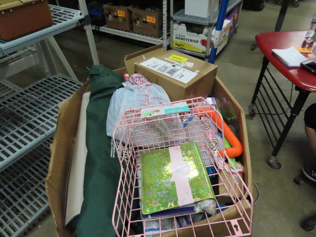 Large Unsorted Mystery Box - (Box ONE)