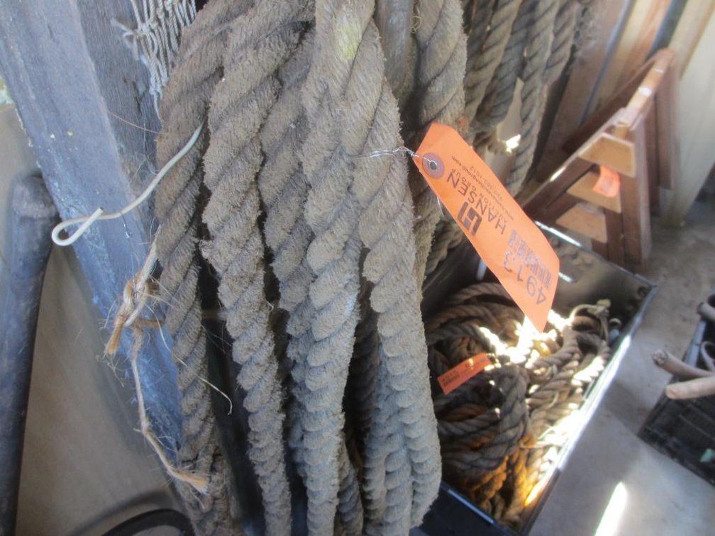 Rope (D1)