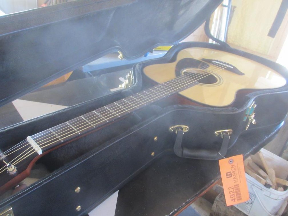 Guitar and Case (D1)