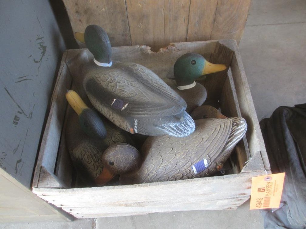 Wooden Box Full of Duck Decoys (D1)