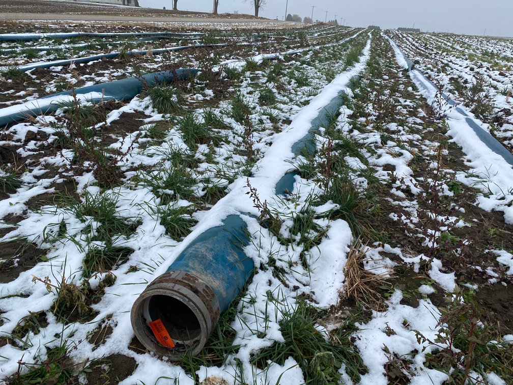Section of 10" Bulldog Mainline Hose (New Holstein, WI)