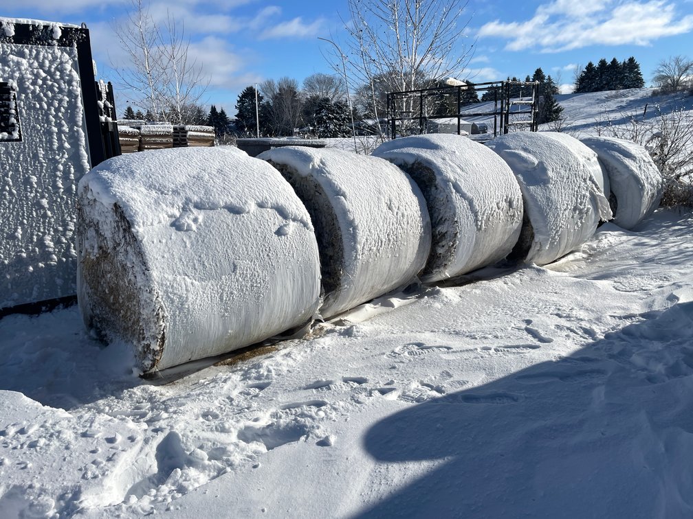 (6) First Crop Hay Round Bales