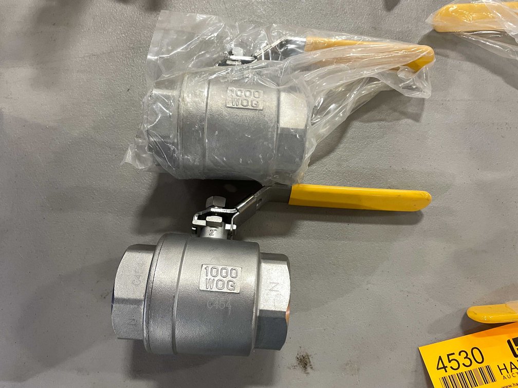 (2) Ball Valves