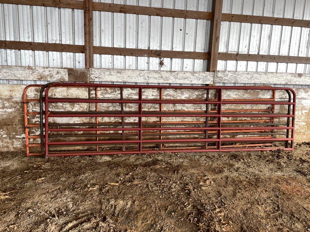 (3) 16' Metal Gates