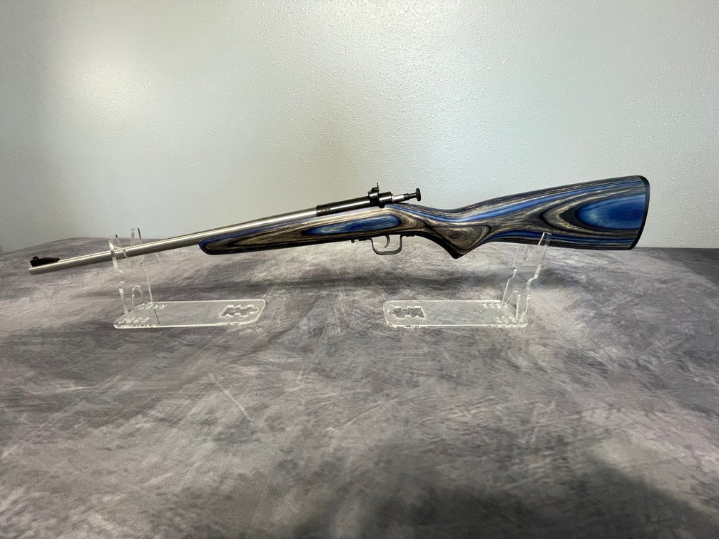 Crickett .22 LR SS, SN: 321658 (Arcadia, WI)