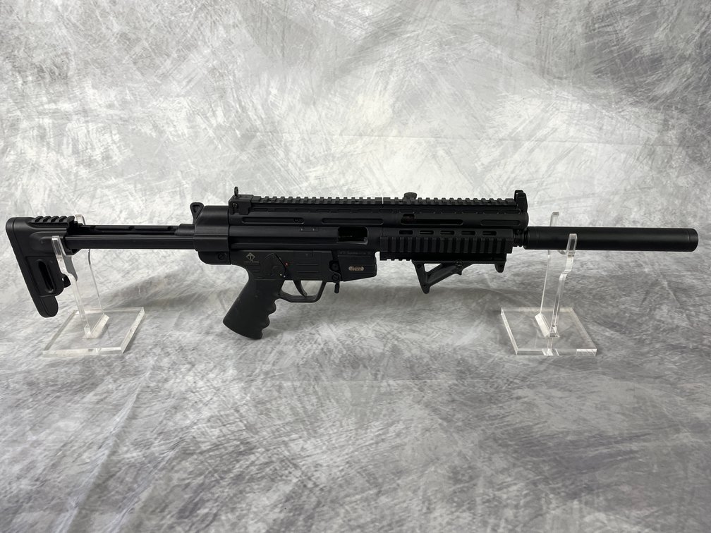 ATI GSG-16 .22LR Semi-Automatic Rifle SN: A804576 (Downing, WI)