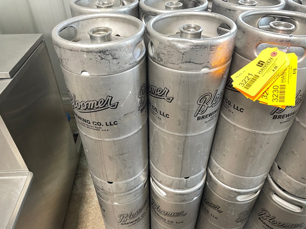 (10) Stainless Steel 1/6 Barrel Kegs