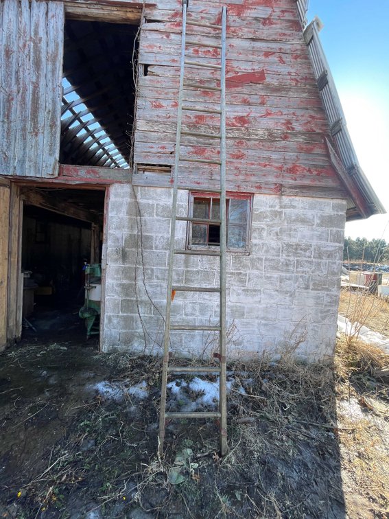 Wooden Ladder
