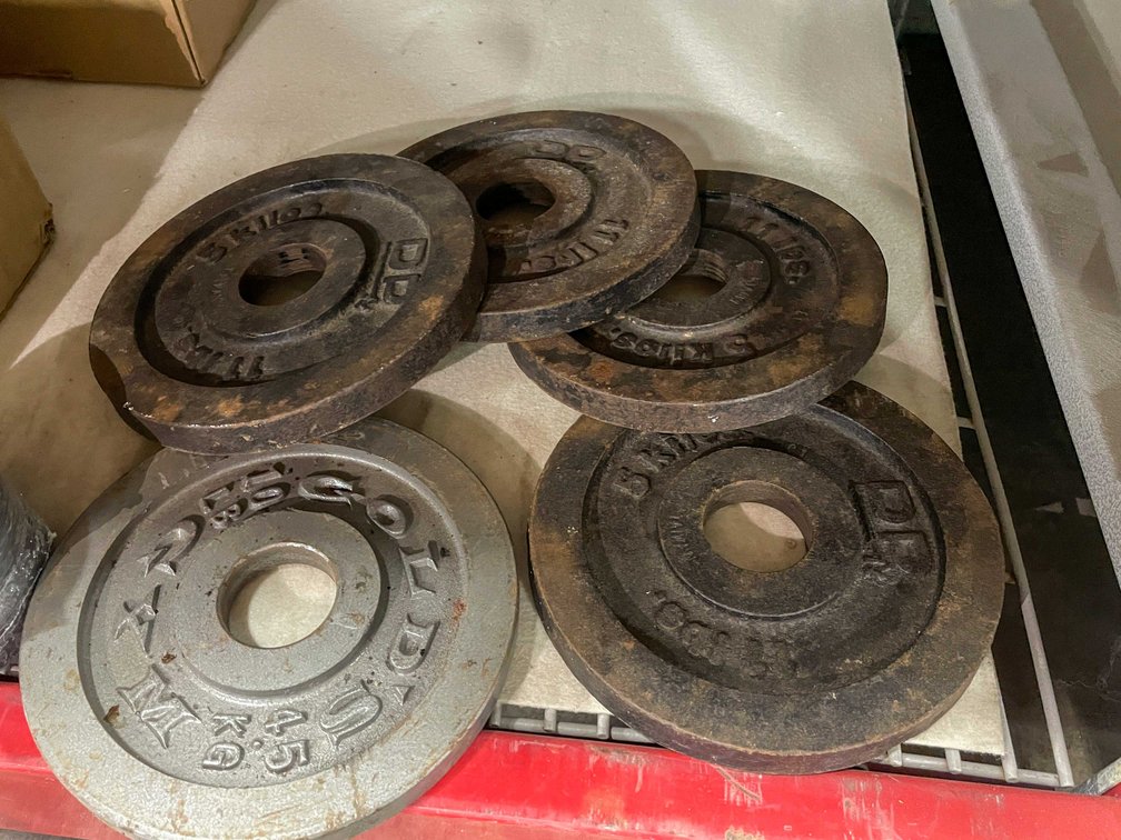 54Lb Cast Iron Weights (CW)
