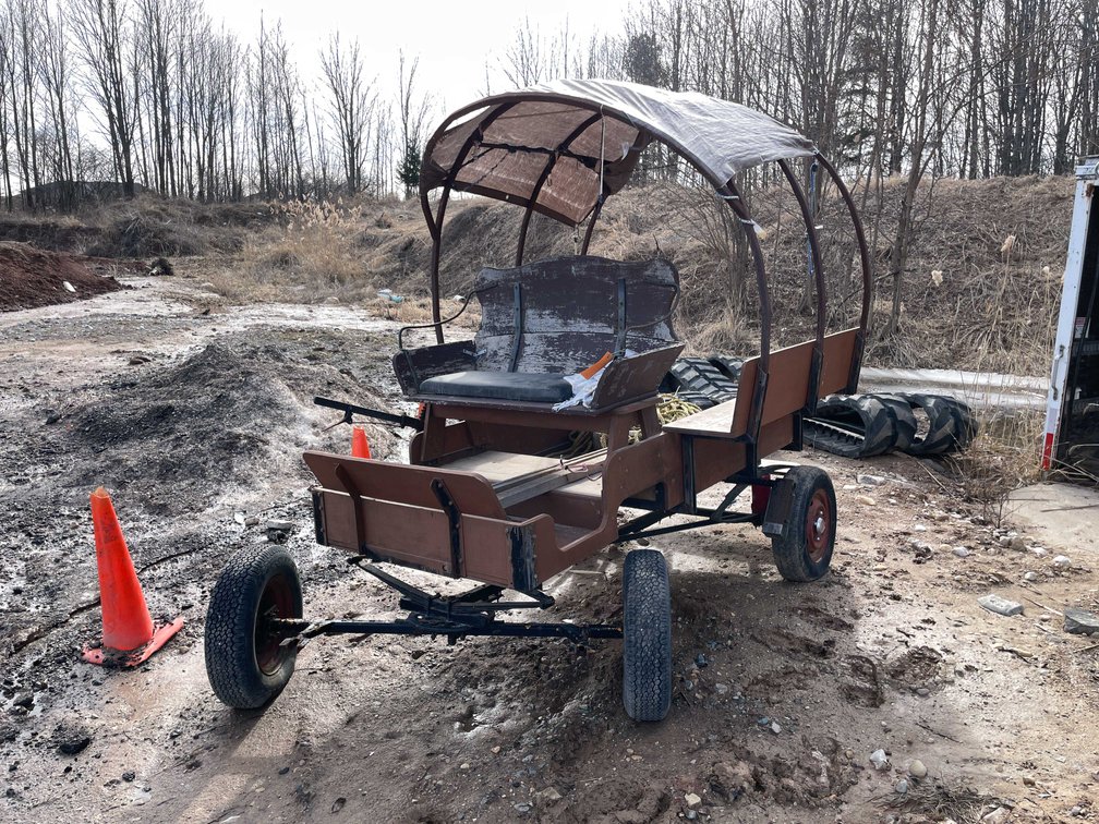 Horse Drawn Carriage (Denmark, WI)