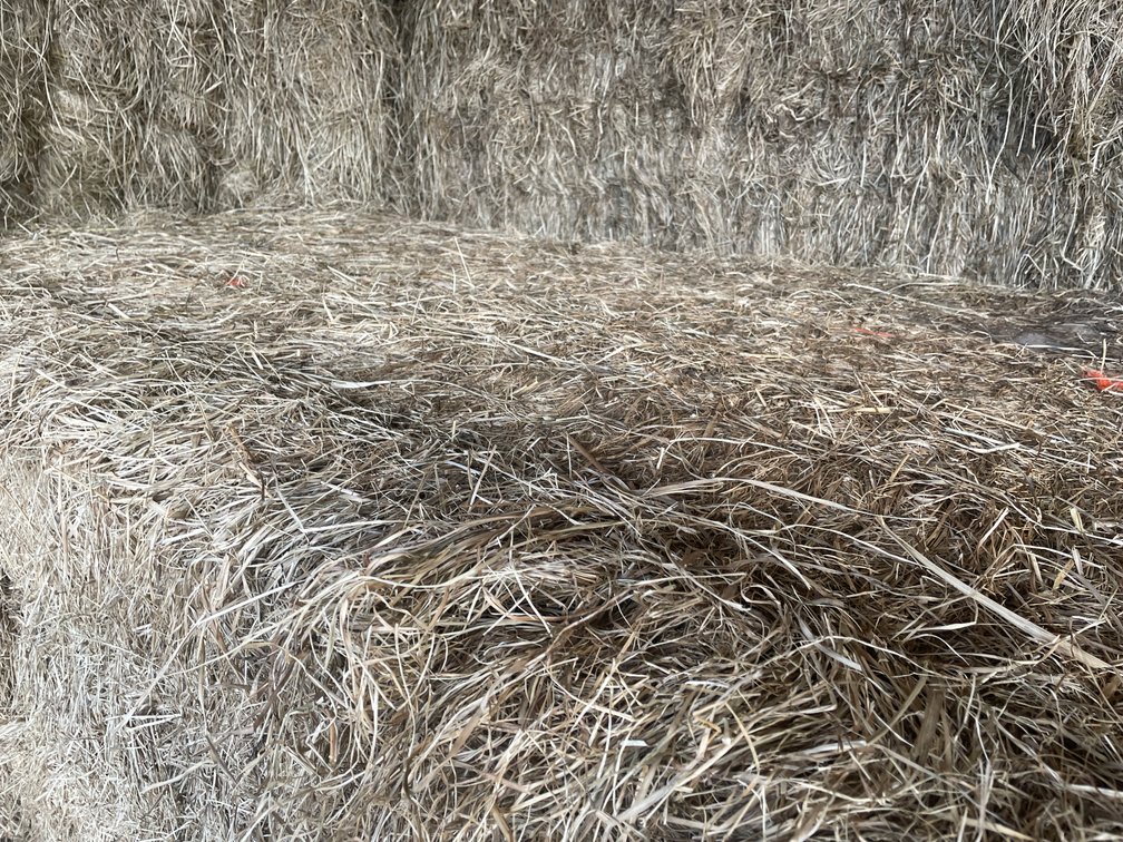(30) Big Square Bales of Beef Hay (Rice Lake, WI)