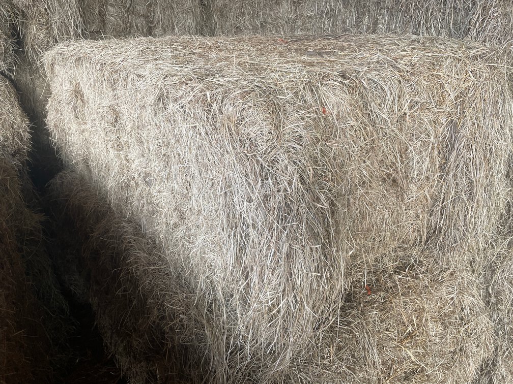 (30) Big Square Bales of Beef Hay (Rice Lake, WI)