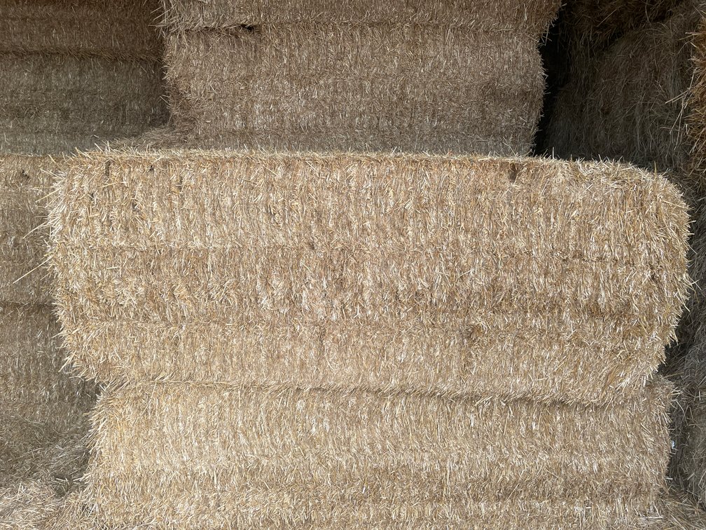 (30) Big Square Bales of Wheat Straw (Rice Lake, WI)