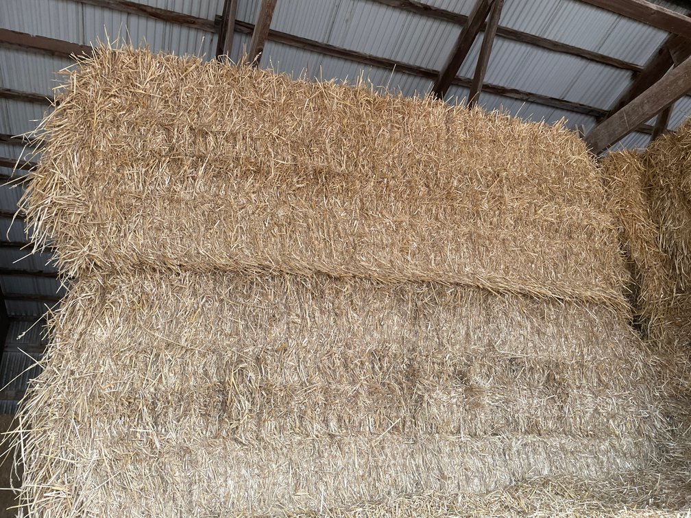 (30) Big Square Bales of Wheat Straw (Rice Lake, WI)