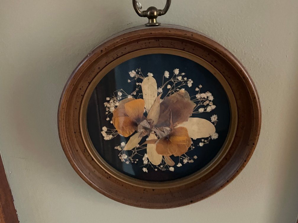 (2) Framed Pictures