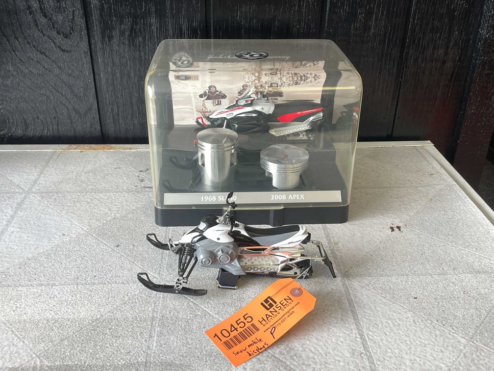 Snowmobile Displays