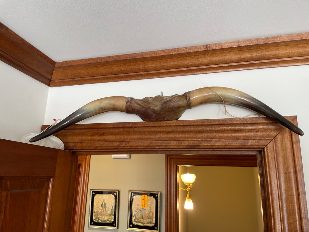 Set of Bull Horns and Ram Horn