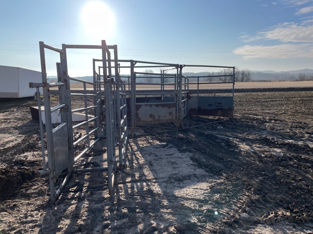 Cattle Chute