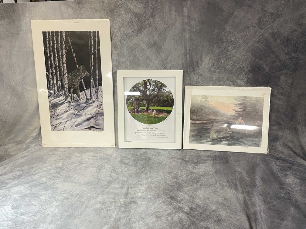 (3) Photos
