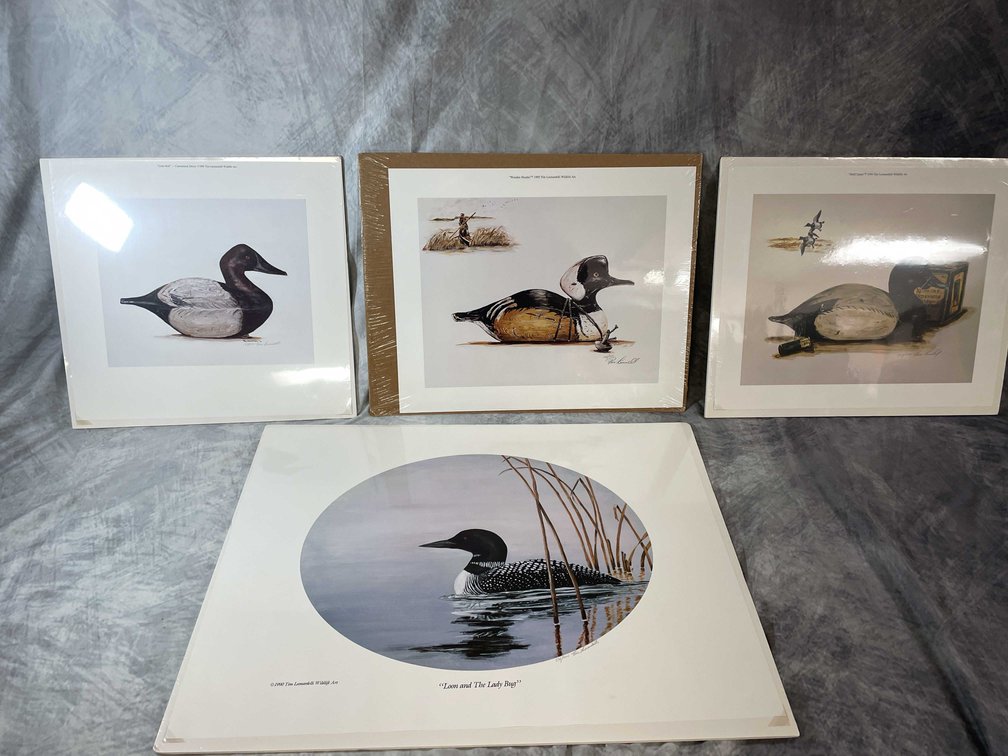 (4) Duck Photos