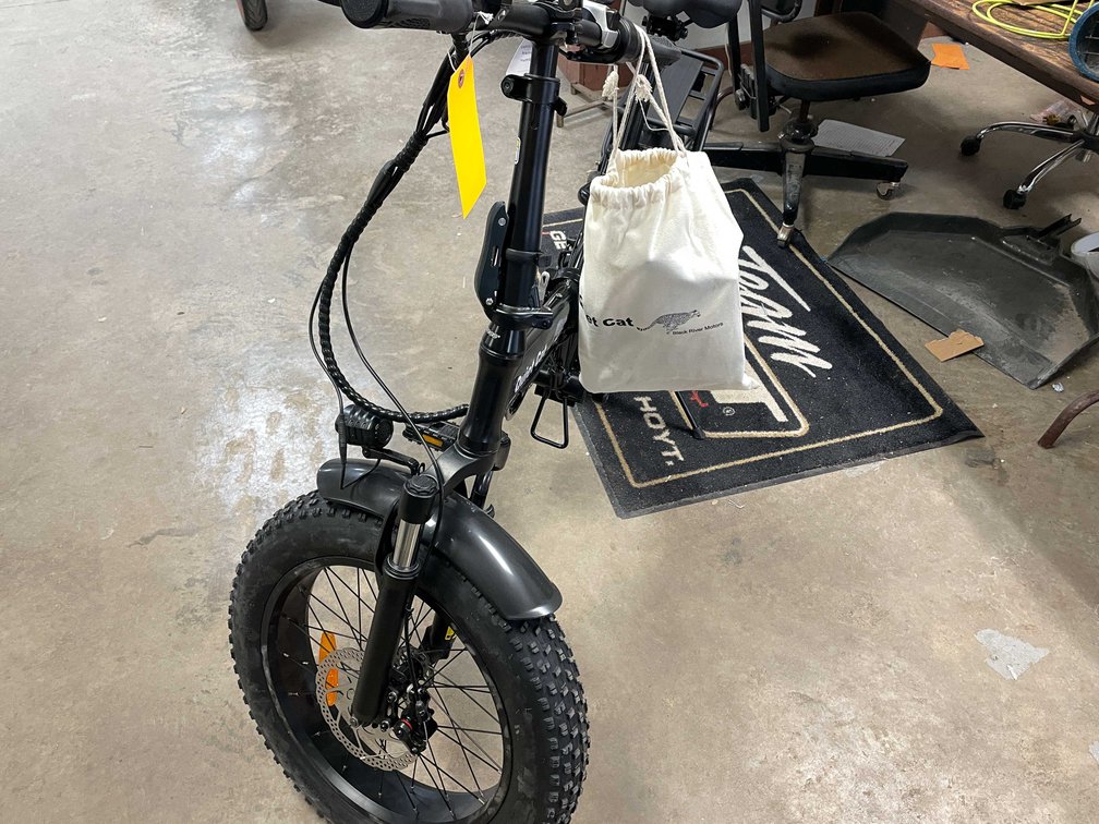 Quiet Cat E-Bike