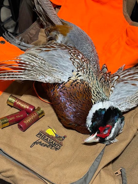 4 Man Hunt and Fish RW Ranch Package