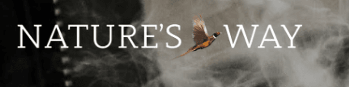 Nature's Way 4 Person 25 Bird Hunt