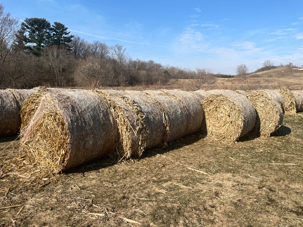 (8) 2025 4' X 5' Corn Stalk Round Bales (Connersville, WI)