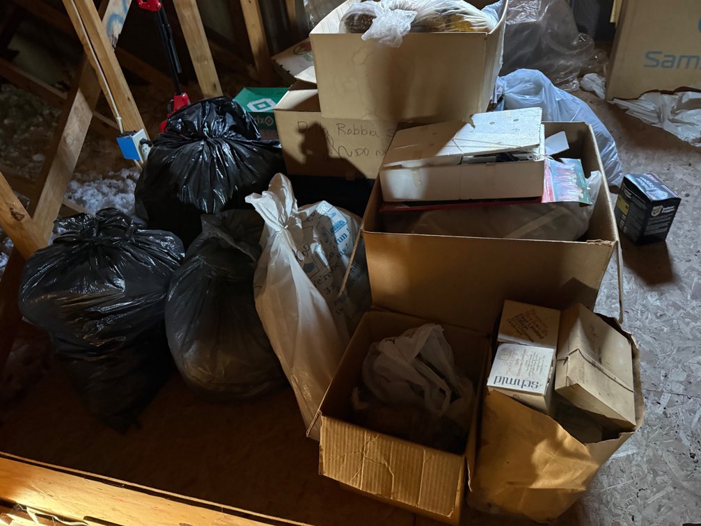 Various Christmas Decor and Luggage in Attic