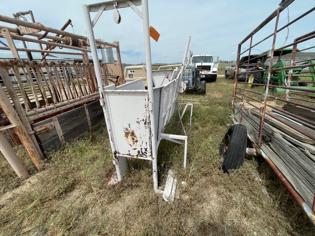 Calf Chute