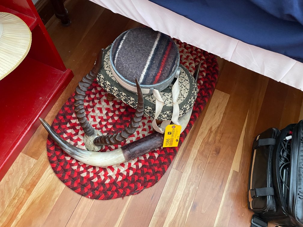 (2) Rugs, Stool, Canteen, and Horns