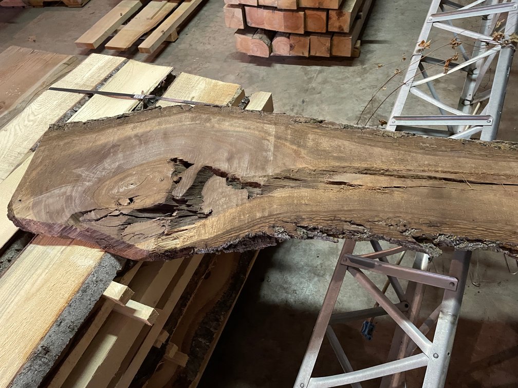 Live Edge Black Walnut Slab